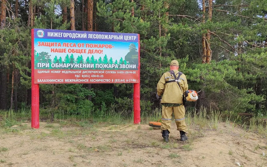 В лесах Нижегородской области оборудовано более трех тысяч мест отдыха для обеспечения пожарной безопасности